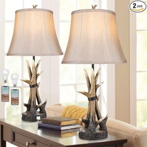 Rustic Table Lamps for Living Room